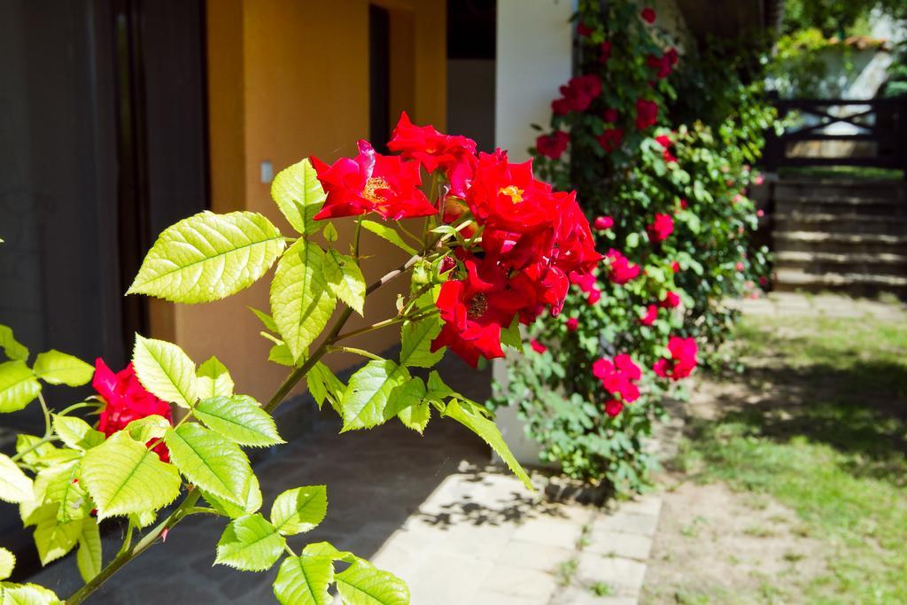 San Marco Villas Kranevo Buitenkant foto